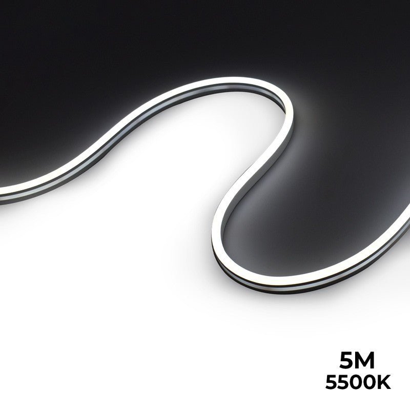Lankstus LED neoninis 24V DC