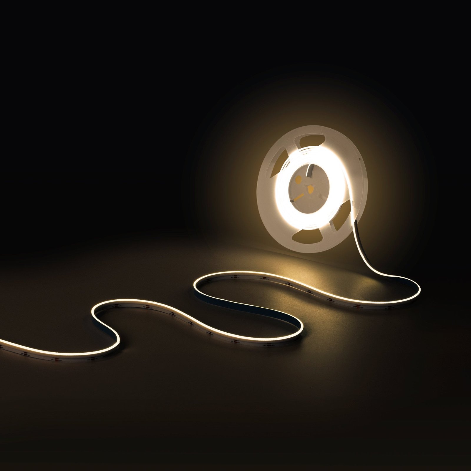 Vienos spalvos COB LED juosta