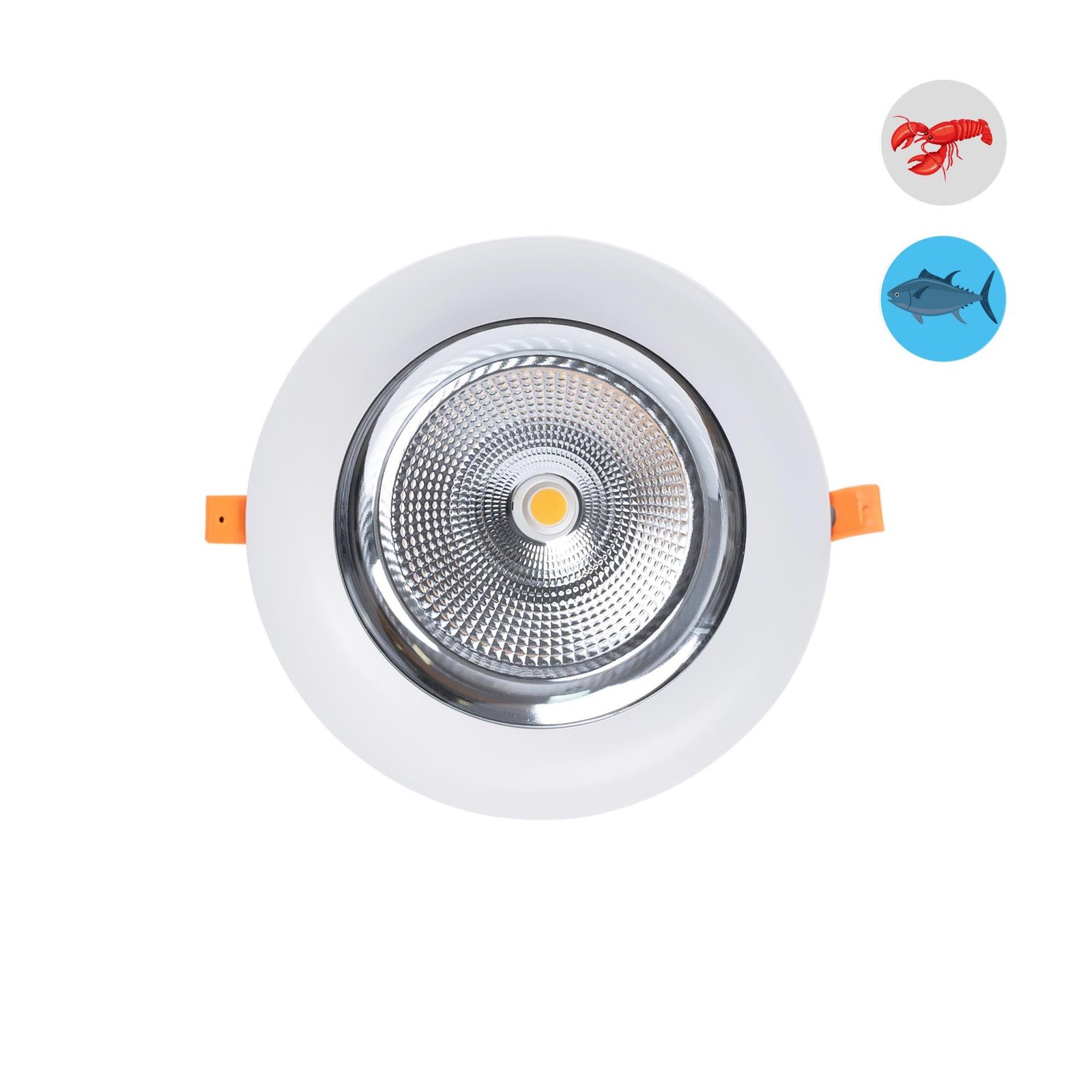 Specialus LED apšvietimas žuvų turgeliams
