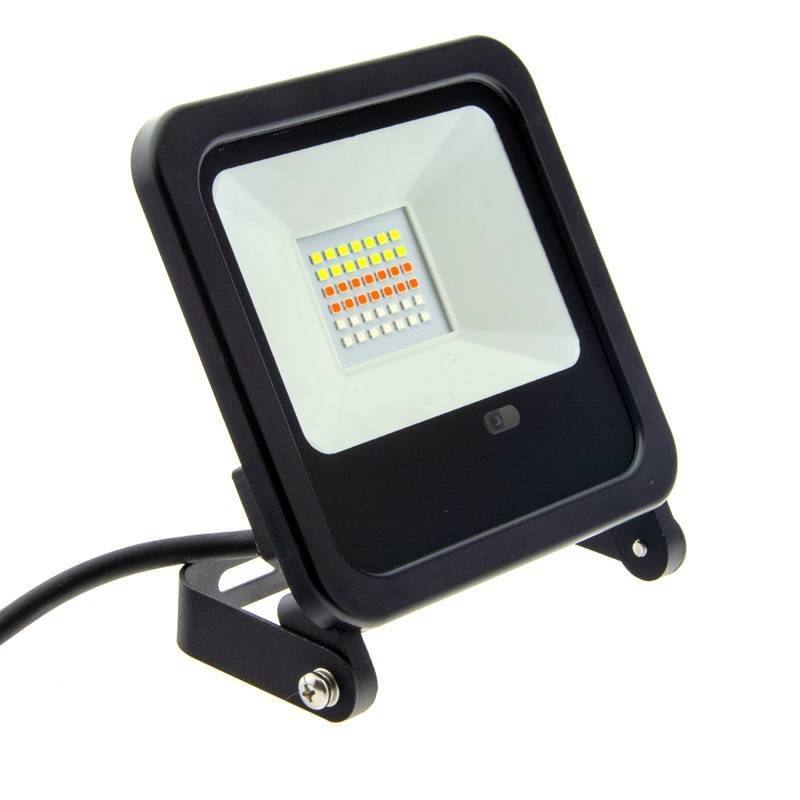 30 W galios RGB LED prožektorius, IP65, su 24 mygtukų nuotolinio valdymo pultu ir į žemę įsmeigiamu stovu