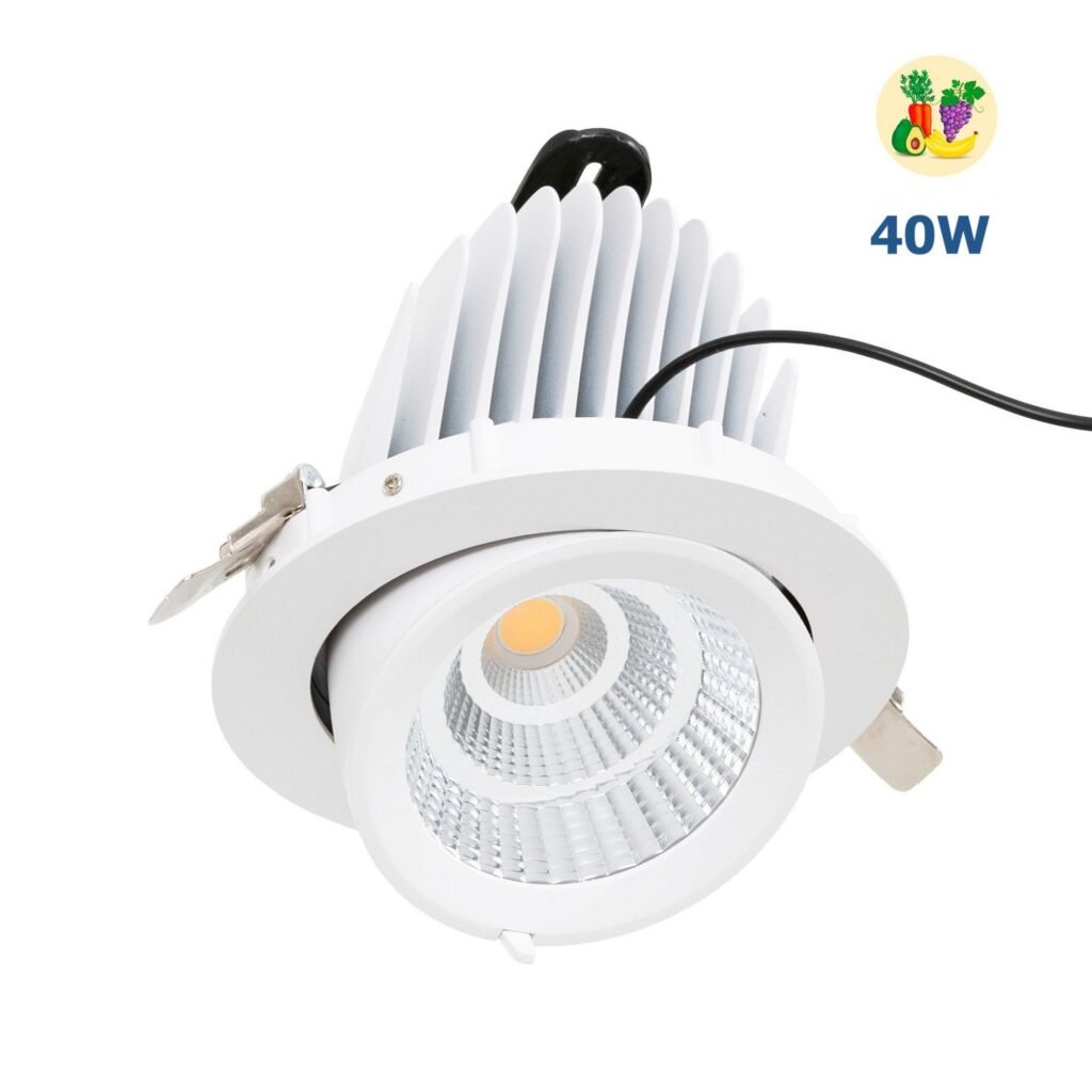 Įleidžiamas pasukamas LED šviestuvas – specialus lustas vaisiams ir daržovėms – 40W